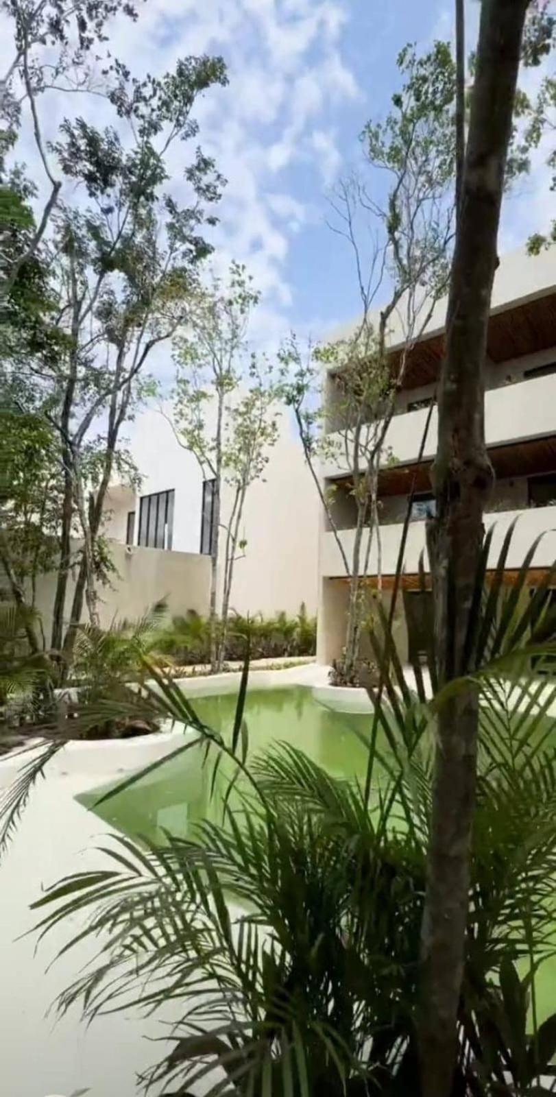 Depa Relax Star In Apartment Tulum